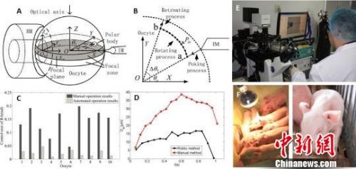 1277�Ǽʵ���(�й���)�ٷ���Ϸ��ַ