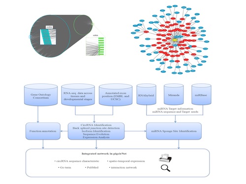 1277�Ǽʵ���(�й���)�ٷ���Ϸ��ַ