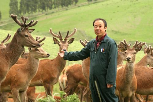 1277�Ǽʵ���(�й���)�ٷ���Ϸ��ַ