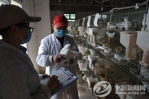 1277�Ǽʵ���(�й���)�ٷ���Ϸ��ַ