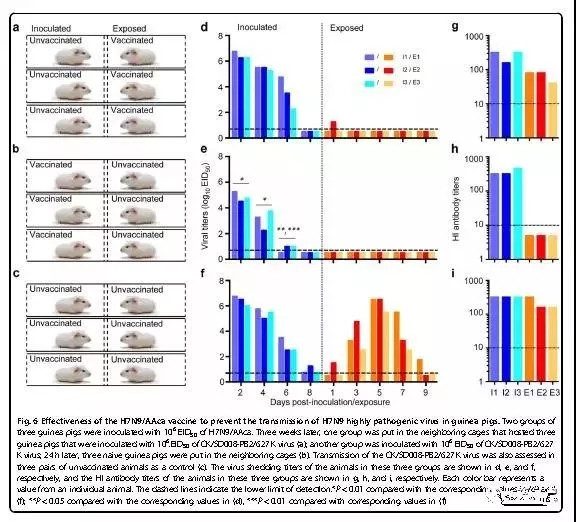 1277�Ǽʵ���(�й���)�ٷ���Ϸ��ַ