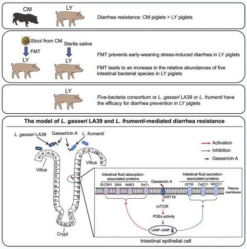 1277�Ǽʵ���(�й���)�ٷ���Ϸ��ַ