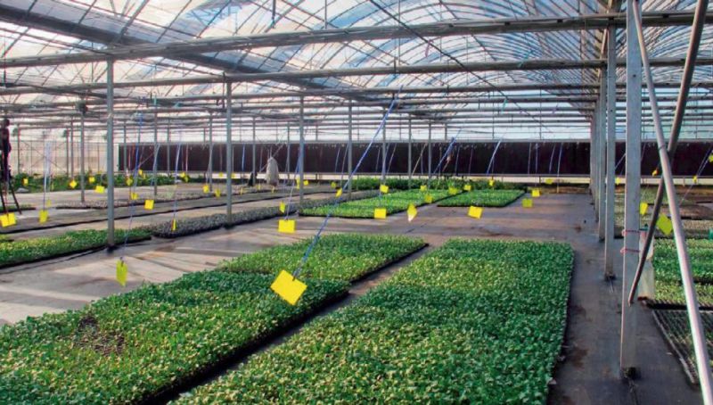 1277�Ǽʵ���(�й���)�ٷ���Ϸ��ַ