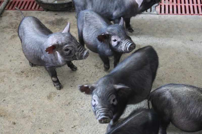 1277�Ǽʵ���(�й���)�ٷ���Ϸ��ַ