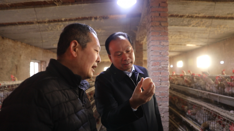 1277�Ǽʵ���(�й���)�ٷ���Ϸ��ַ