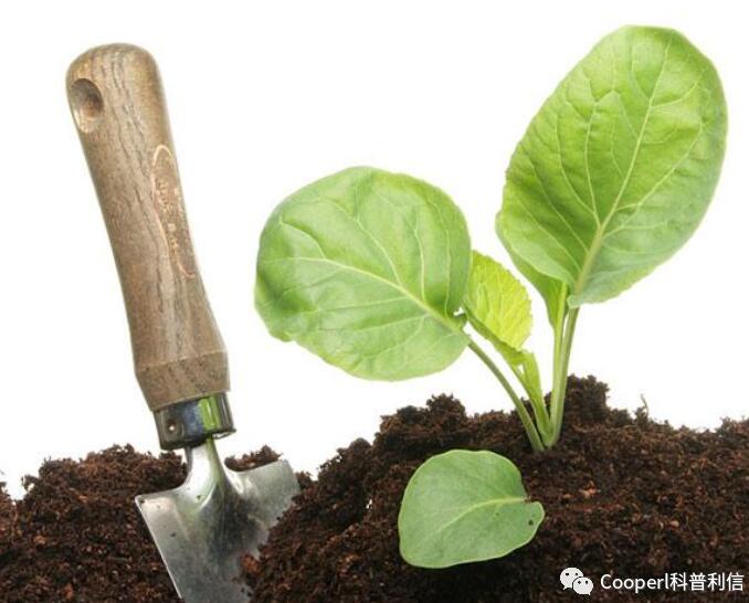 1277�Ǽʵ���(�й���)�ٷ���Ϸ��ַ