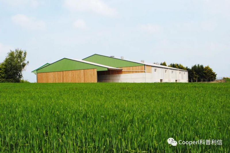 1277�Ǽʵ���(�й���)�ٷ���Ϸ��ַ