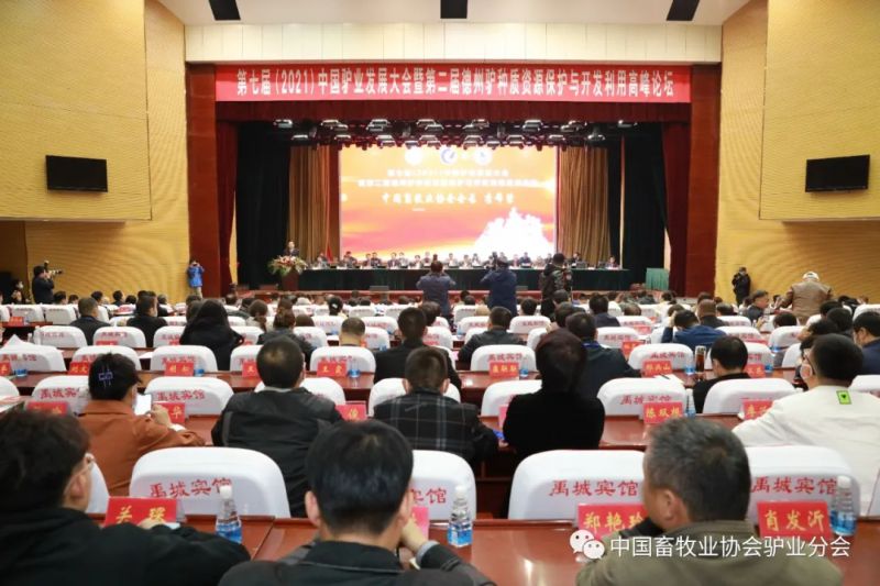 1277�Ǽʵ���(�й���)�ٷ���Ϸ��ַ