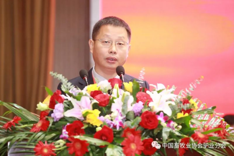 1277�Ǽʵ���(�й���)�ٷ���Ϸ��ַ