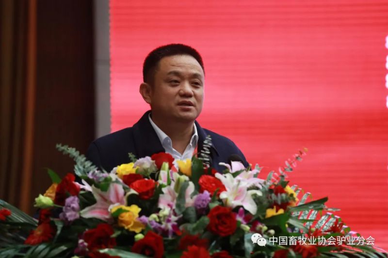 1277�Ǽʵ���(�й���)�ٷ���Ϸ��ַ