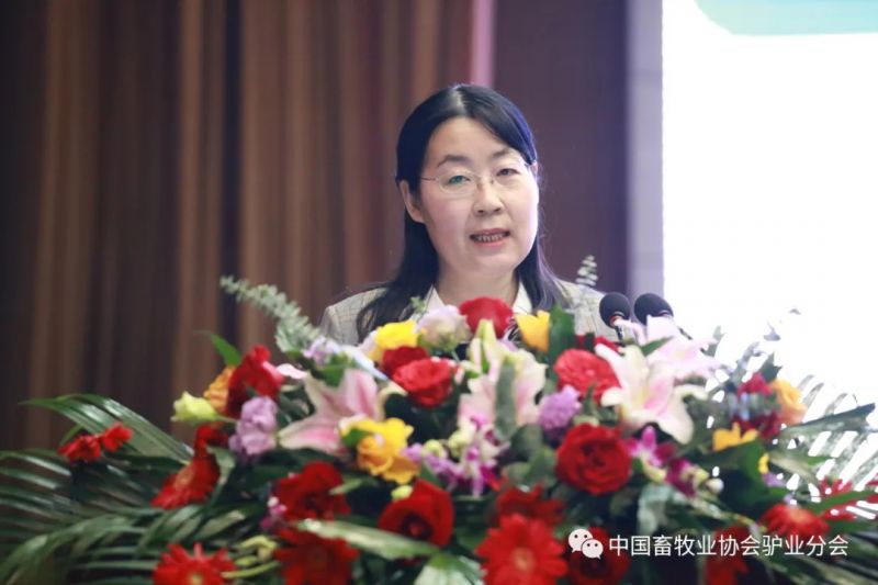 1277�Ǽʵ���(�й���)�ٷ���Ϸ��ַ