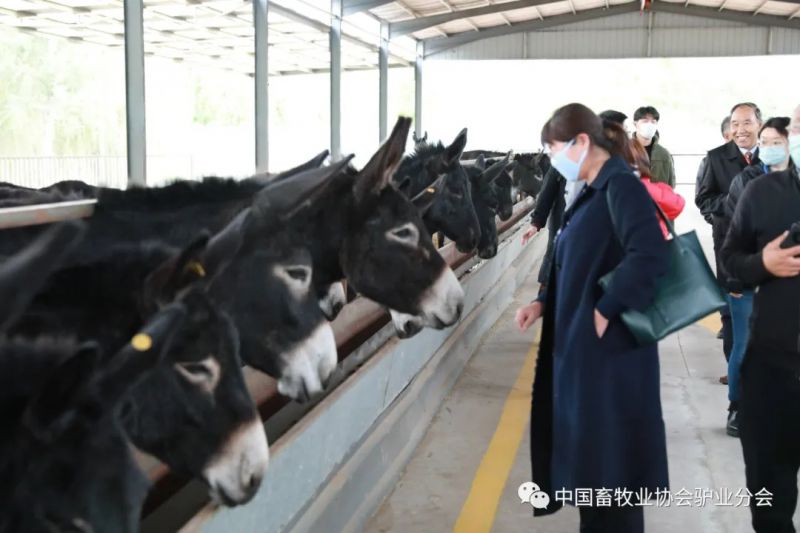 1277�Ǽʵ���(�й���)�ٷ���Ϸ��ַ