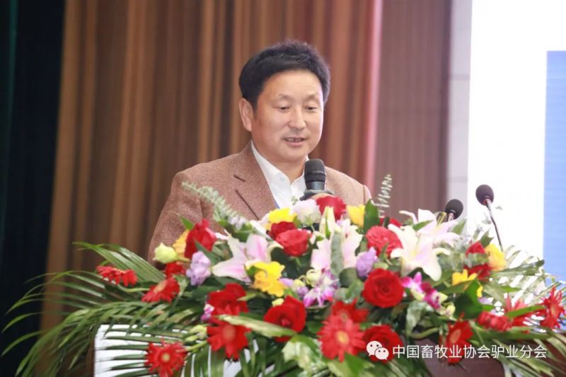 1277�Ǽʵ���(�й���)�ٷ���Ϸ��ַ