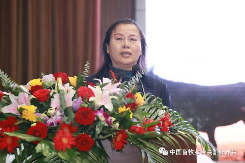 1277�Ǽʵ���(�й���)�ٷ���Ϸ��ַ