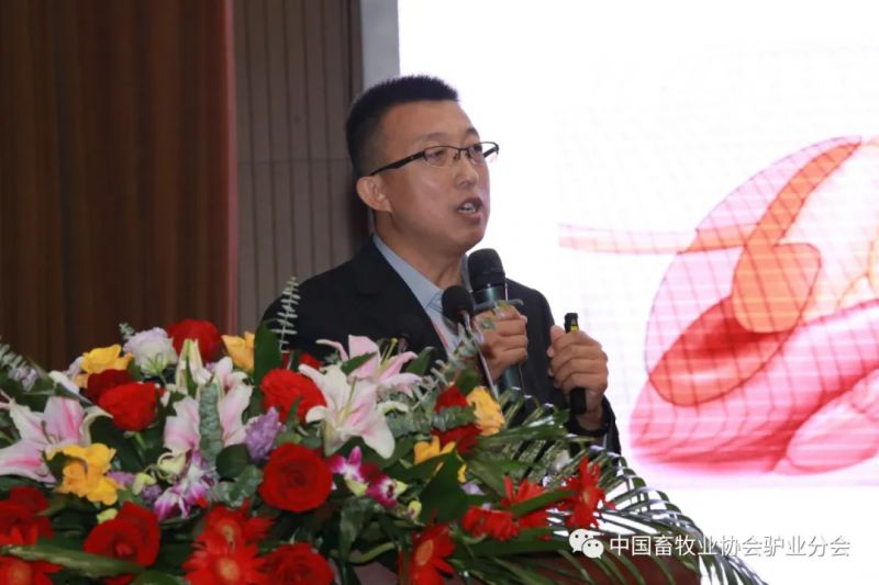 1277�Ǽʵ���(�й���)�ٷ���Ϸ��ַ