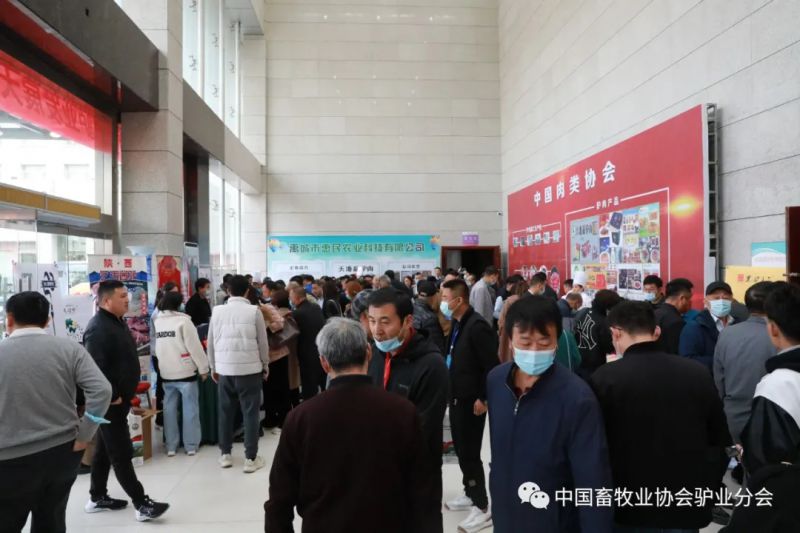 1277�Ǽʵ���(�й���)�ٷ���Ϸ��ַ