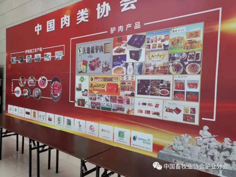 1277�Ǽʵ���(�й���)�ٷ���Ϸ��ַ