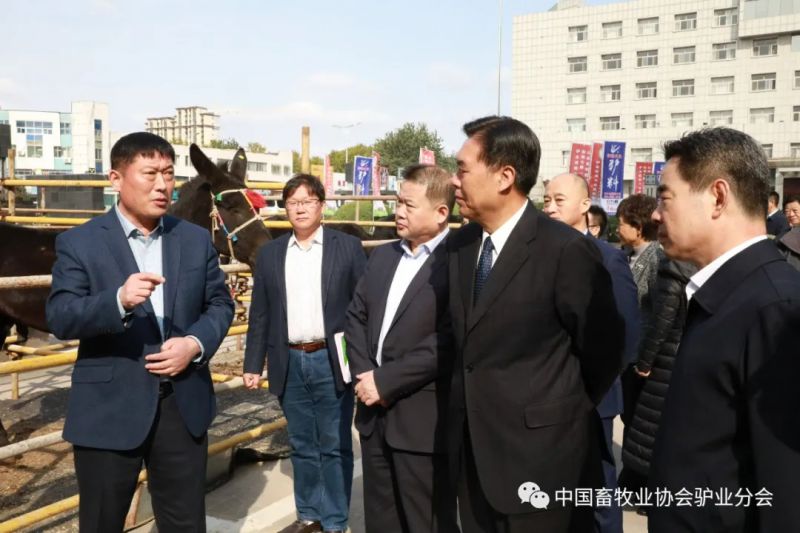 1277�Ǽʵ���(�й���)�ٷ���Ϸ��ַ