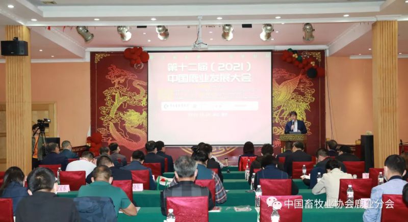 1277�Ǽʵ���(�й���)�ٷ���Ϸ��ַ