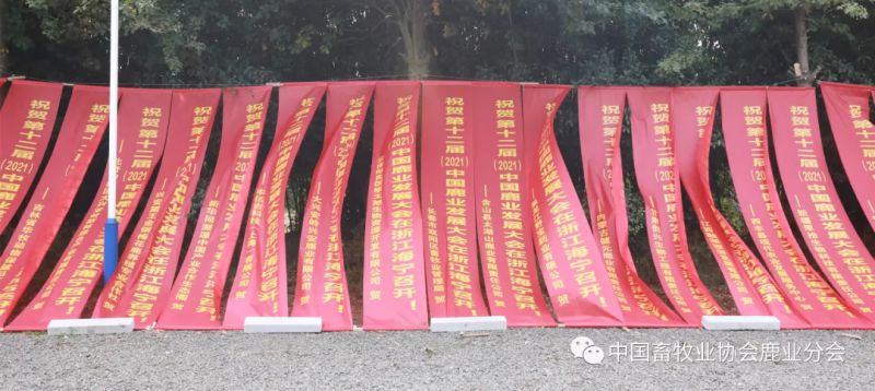 1277�Ǽʵ���(�й���)�ٷ���Ϸ��ַ