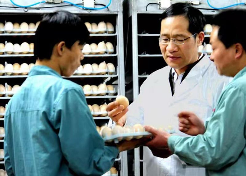 1277�Ǽʵ���(�й���)�ٷ���Ϸ��ַ