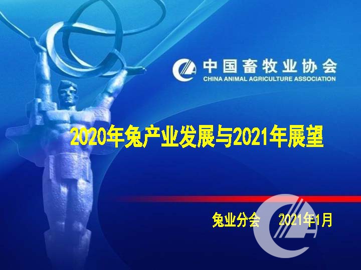 1277�Ǽʵ���(�й���)�ٷ���Ϸ��ַ