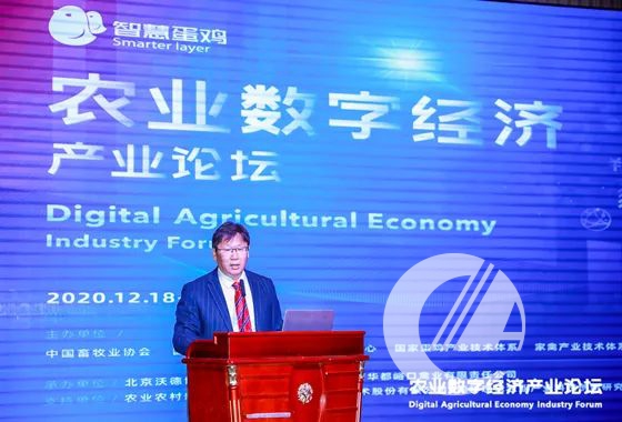 1277�Ǽʵ���(�й���)�ٷ���Ϸ��ַ