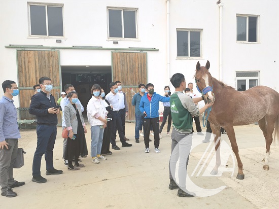 1277�Ǽʵ���(�й���)�ٷ���Ϸ��ַ