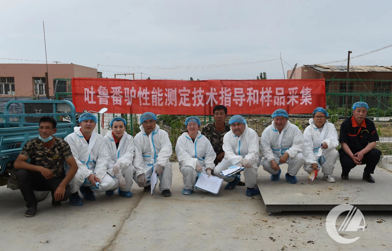 1277�Ǽʵ���(�й���)�ٷ���Ϸ��ַ