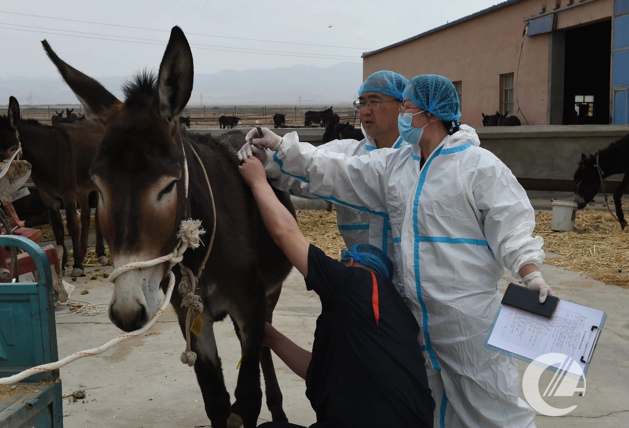 1277�Ǽʵ���(�й���)�ٷ���Ϸ��ַ