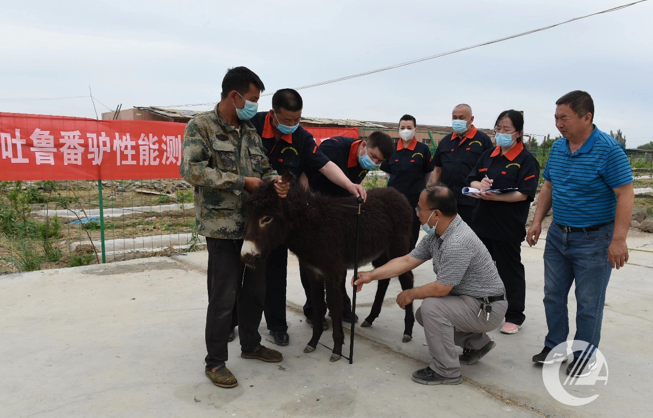 1277�Ǽʵ���(�й���)�ٷ���Ϸ��ַ