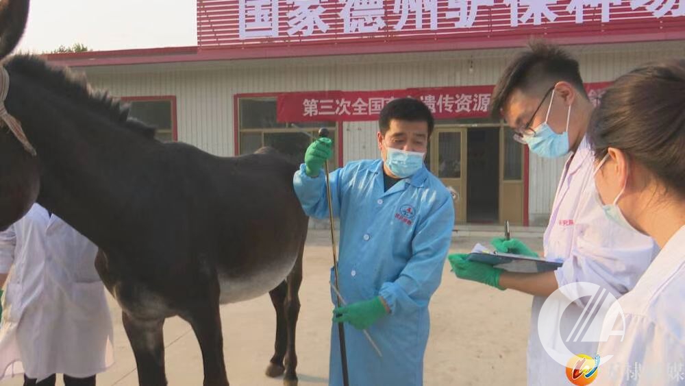 1277�Ǽʵ���(�й���)�ٷ���Ϸ��ַ