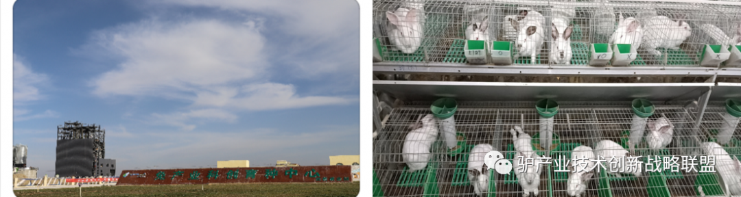 1277�Ǽʵ���(�й���)�ٷ���Ϸ��ַ