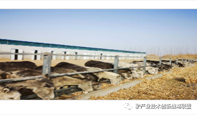 1277�Ǽʵ���(�й���)�ٷ���Ϸ��ַ