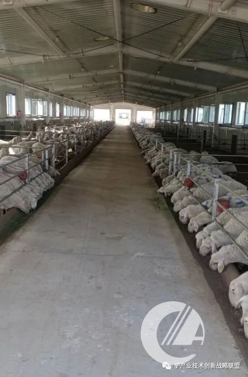 1277�Ǽʵ���(�й���)�ٷ���Ϸ��ַ