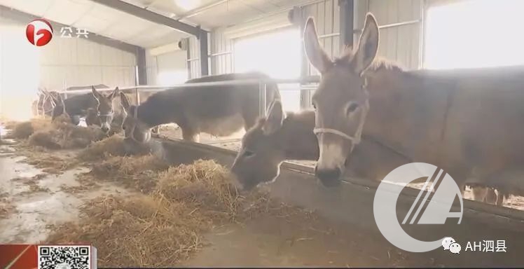 1277�Ǽʵ���(�й���)�ٷ���Ϸ��ַ