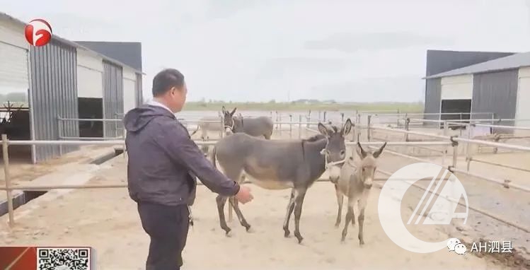 1277�Ǽʵ���(�й���)�ٷ���Ϸ��ַ