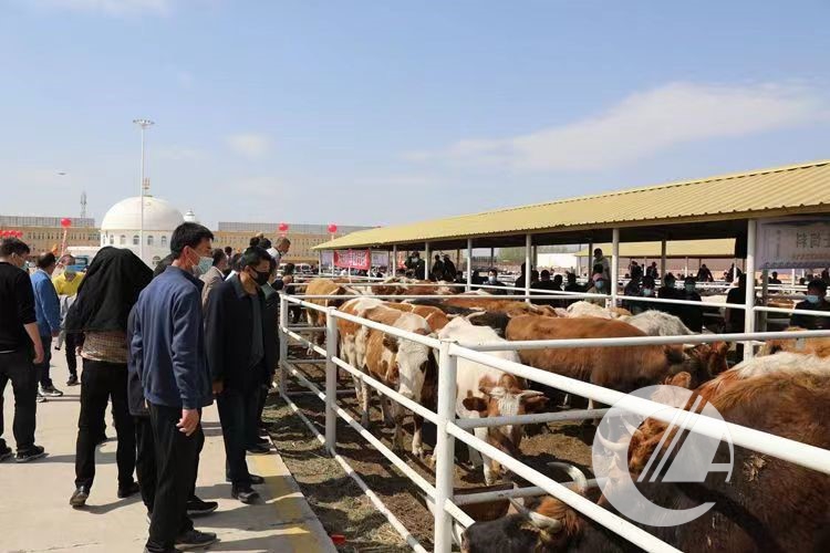 1277�Ǽʵ���(�й���)�ٷ���Ϸ��ַ