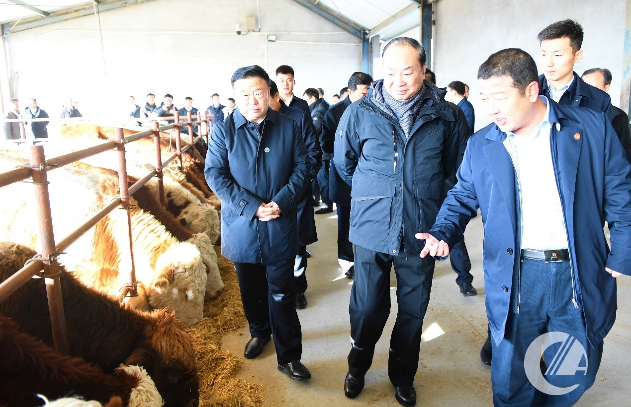 1277�Ǽʵ���(�й���)�ٷ���Ϸ��ַ