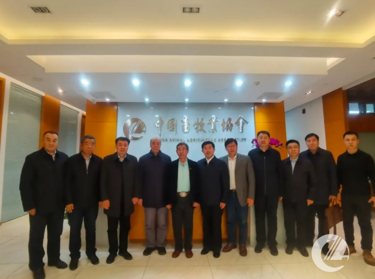 1277�Ǽʵ���(�й���)�ٷ���Ϸ��ַ