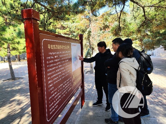 1277�Ǽʵ���(�й���)�ٷ���Ϸ��ַ