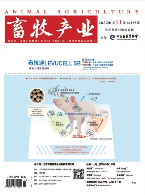 1277�Ǽʵ���(�й���)�ٷ���Ϸ��ַ