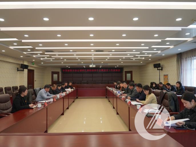 1277�Ǽʵ���(�й���)�ٷ���Ϸ��ַ