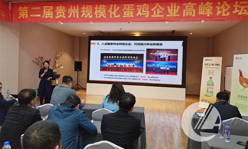 1277�Ǽʵ���(�й���)�ٷ���Ϸ��ַ