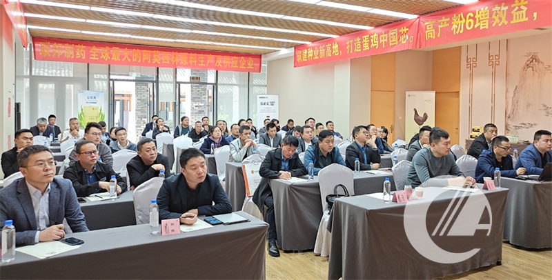 1277�Ǽʵ���(�й���)�ٷ���Ϸ��ַ