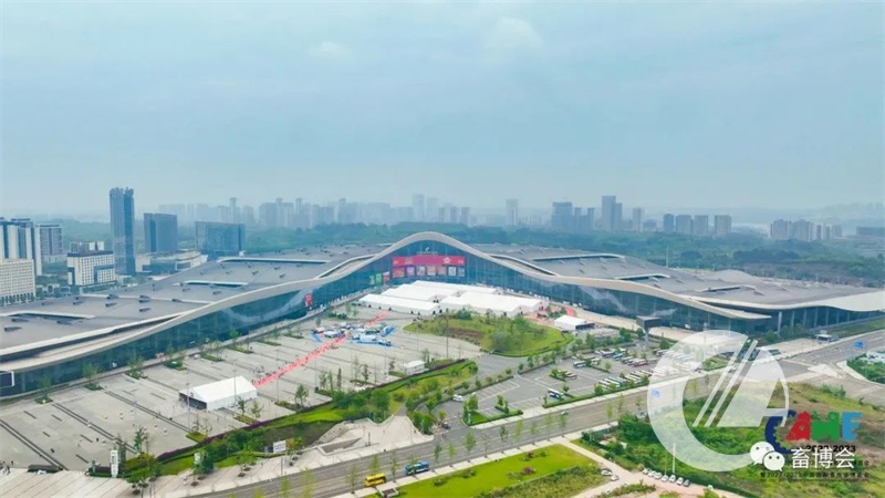 1277�Ǽʵ���(�й���)�ٷ���Ϸ��ַ