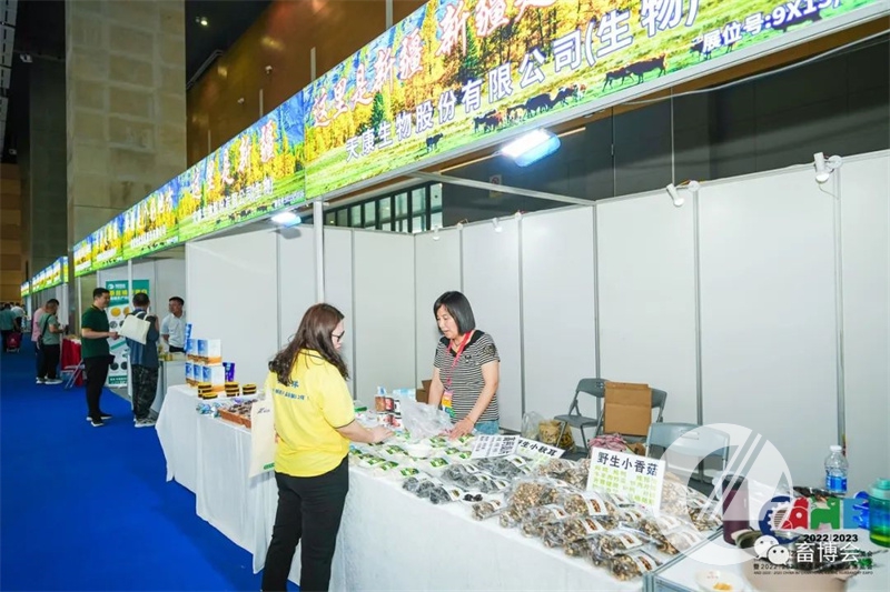 1277�Ǽʵ���(�й���)�ٷ���Ϸ��ַ