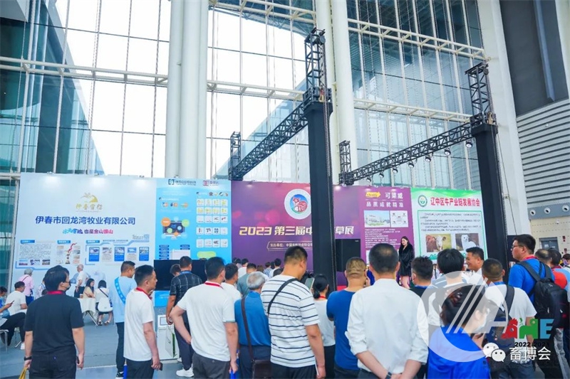 1277�Ǽʵ���(�й���)�ٷ���Ϸ��ַ