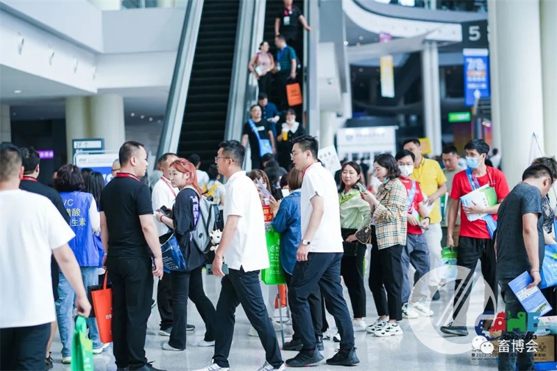 1277�Ǽʵ���(�й���)�ٷ���Ϸ��ַ