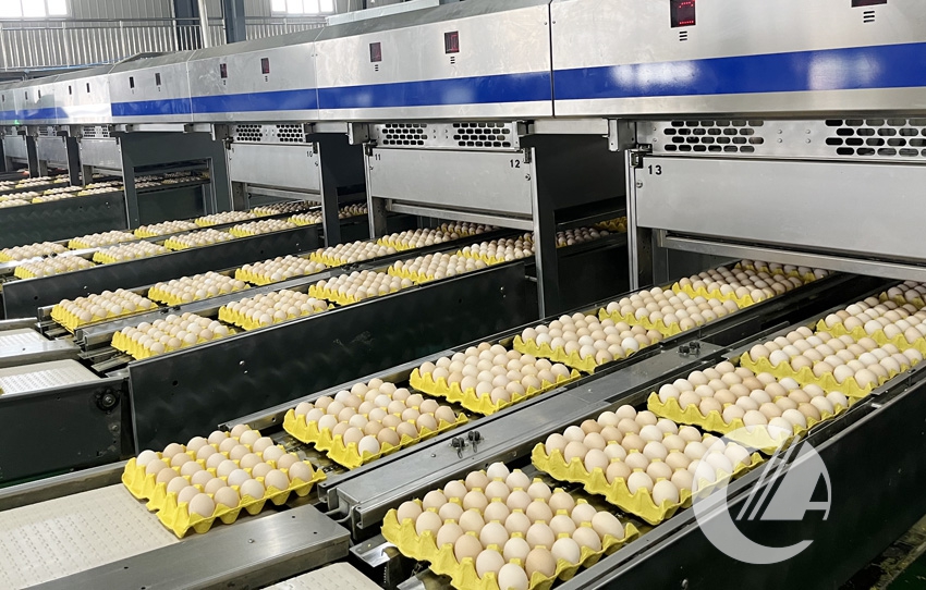 1277�Ǽʵ���(�й���)�ٷ���Ϸ��ַ